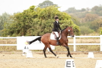 SBM_002864