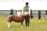 SBM_04476