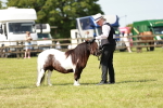 SBM_01999