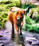 Longhorn