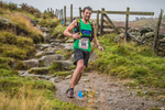 Langdale-1013