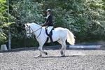 WJ7_9824