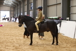 20260913-0339