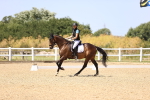 SBM_012014