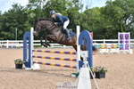 Cls 20 Snr British Novice and 90cm Open portfolio