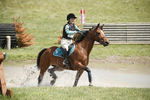 BVHT 140517  IXC -540