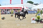 BPP_0555
