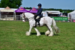 SBM_09377