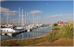 Marina (4)