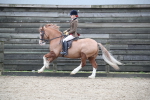 SBM_007237