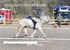 BPP_8586