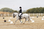 SBM_002891