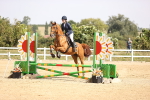 SBM_001882