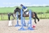 BPP_5738