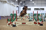 SBM_006892