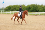 Class 15 - Novice 5 portfolio