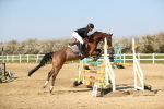 SBM_001212
