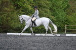 WJ7_7824