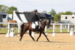 SBM_011977