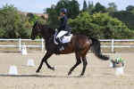 SBM_020379