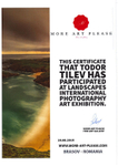 More Art Please_Landscapes