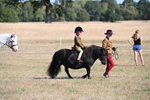 WJ6_7394