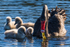 3 Family 0A3A6980