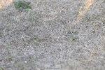 250823A-182422-34178