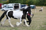 WJ6_6527
