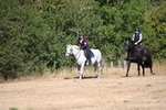 WJ6_8131