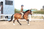 SBM_07425