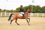 SBM_006889