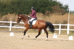 SBM_009779