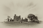 Bective Abbey