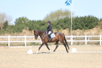 SBM_013188