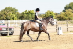 SBM_001417