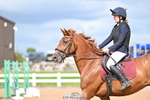 Clear Round & 60cm BS Club & Schools portfolio