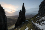 The Needle