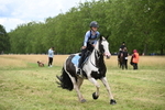 WJ6_5737