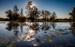 Sunlight Reflections