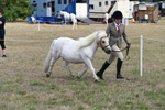WJ6_5948