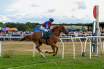 040826-Race 3-Free World-5112