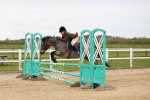 SBM_005628
