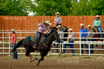 _DSC9555