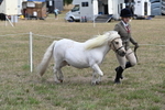 WJ6_5958