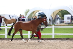 SBM_02463