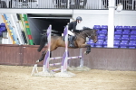 SBM_002357