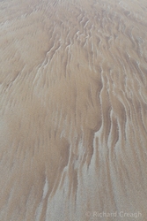 Blown Sand