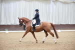 SBM_008690