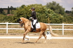 SBM_008793